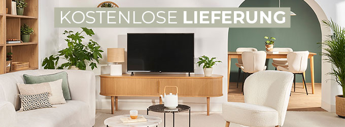 TV-Mobel